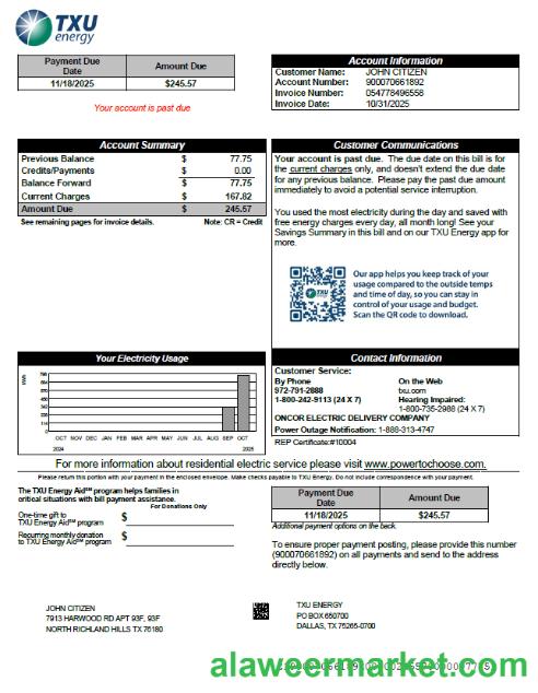 USA TXU Energy utility bill template in Word and PDF formats, version 8